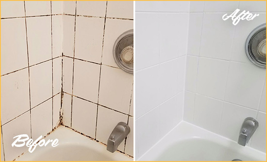Before and After Picture of a Belle Meade Shower Tile and Grout Cleaned to Eliminate Mold