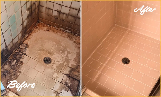 Before and After Picture of a Lakewood Ceramic Shower Cleaned to Remove Grime
