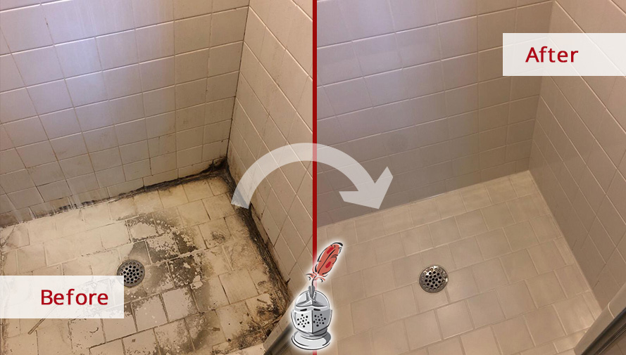 Our Professional Tile and Grout Cleaners Restored the Condition of